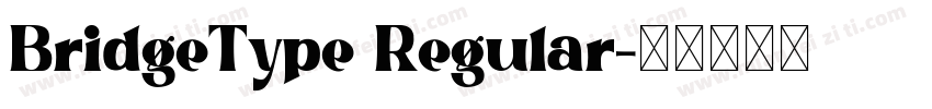 BridgeType Regular字体转换